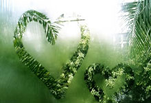 数码科技有限公司成立 